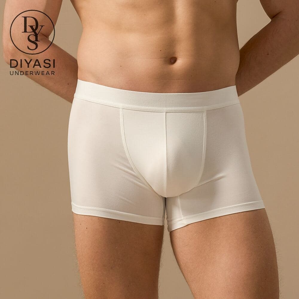 Men's 4-Inch Stretch Boxer Brief — photograph 1 of 7